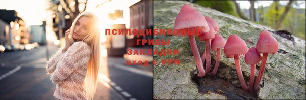 амф Пересвет