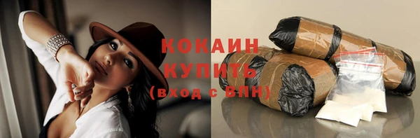 амф Пересвет