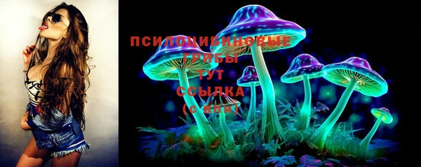 гидропоника Осинники