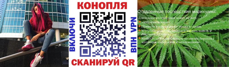 Канабис индика  Байкальск 